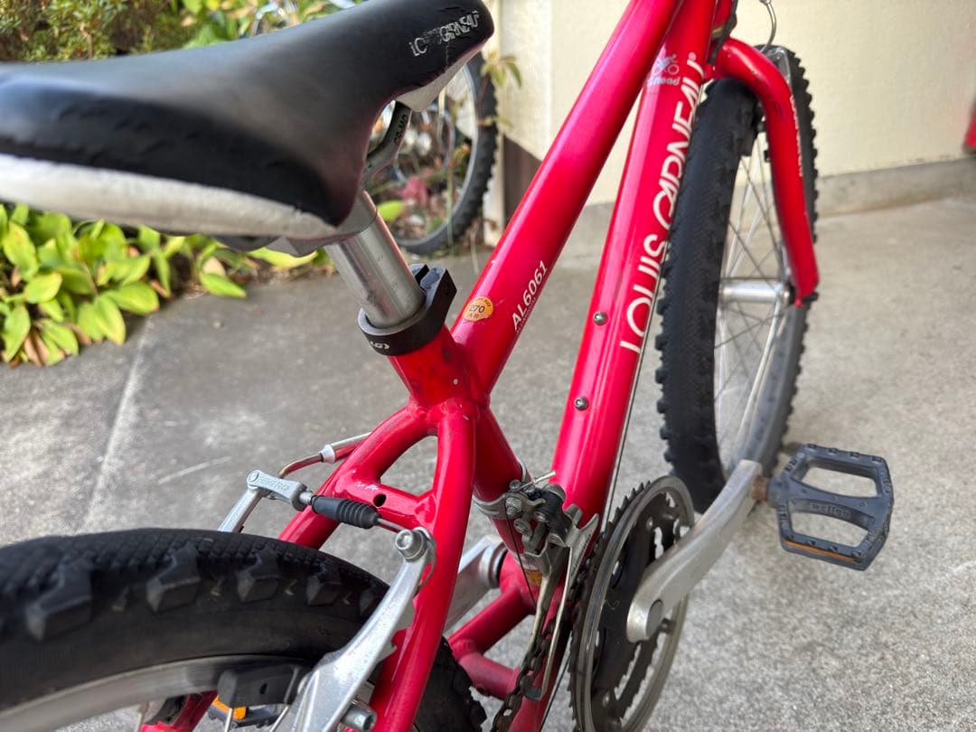 ルイガノ 22インチ 子供用自転車