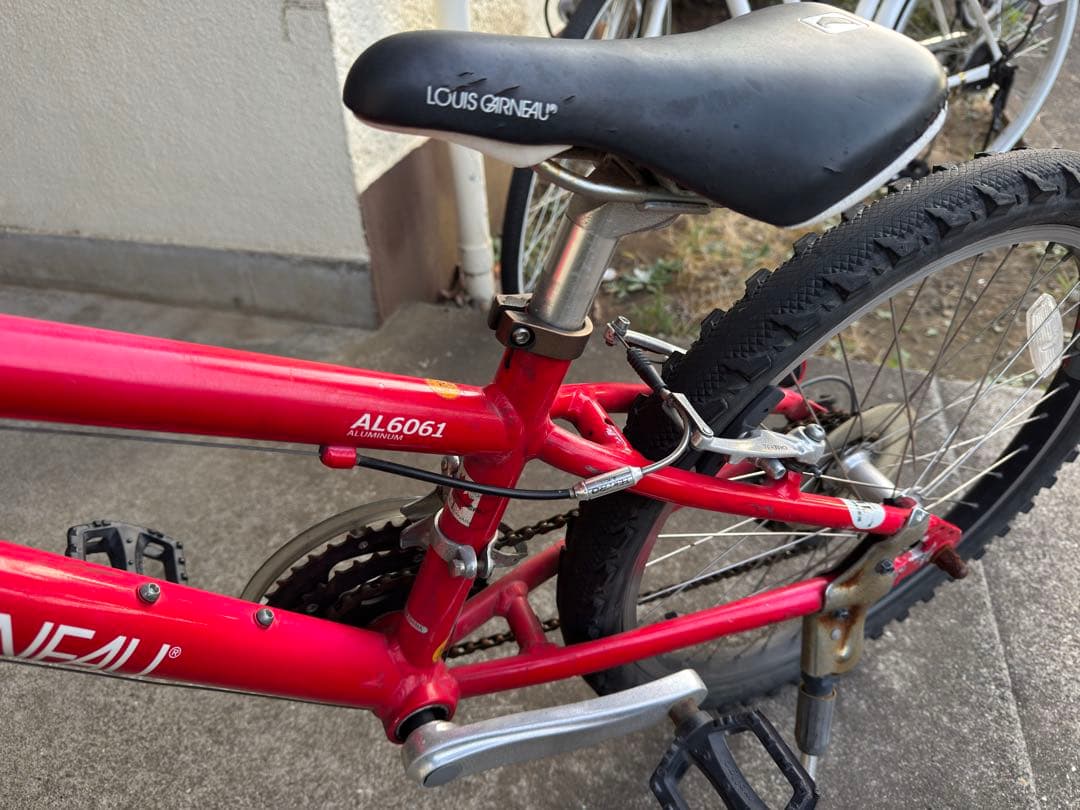 ルイガノ 22インチ 子供用自転車