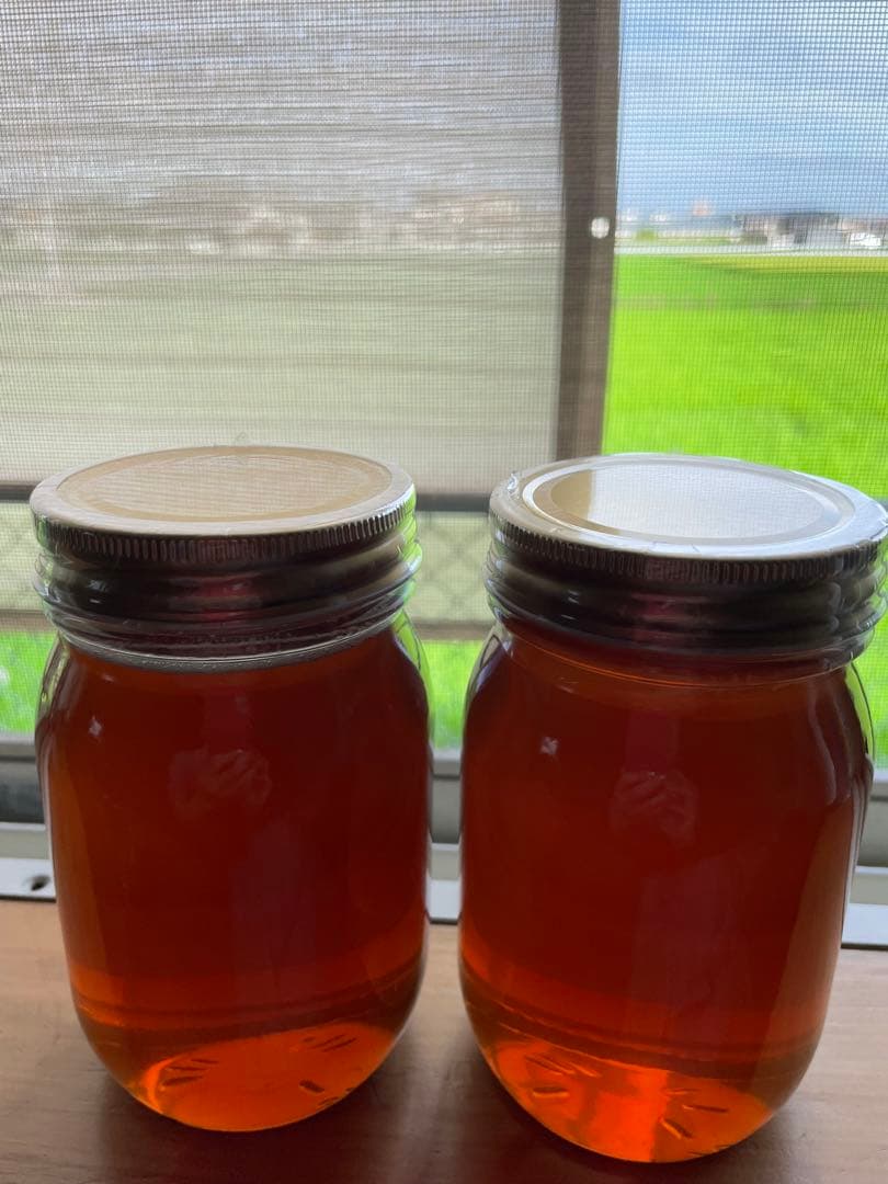 令7年　しぼりたて生蜂蜜620g✖️2(ケンポナシ)