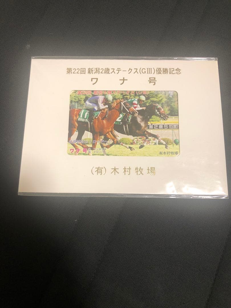 非売品　記念品　オグリローマン　桜花賞　激レア　関係者　オグリキャップ　妹