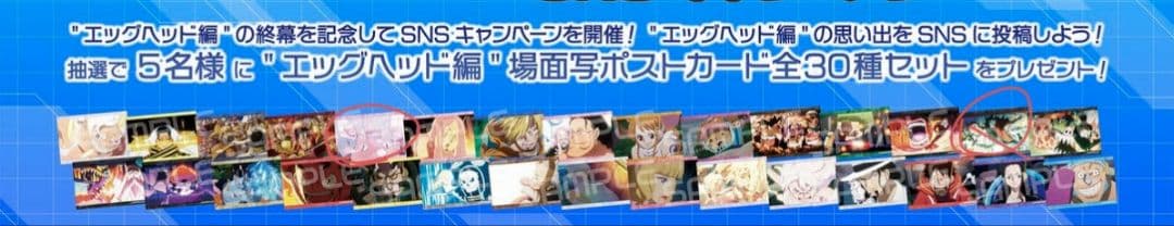 ワンピースONE PIECE 麦わらストア 場面写ポストカード 特典28点セット