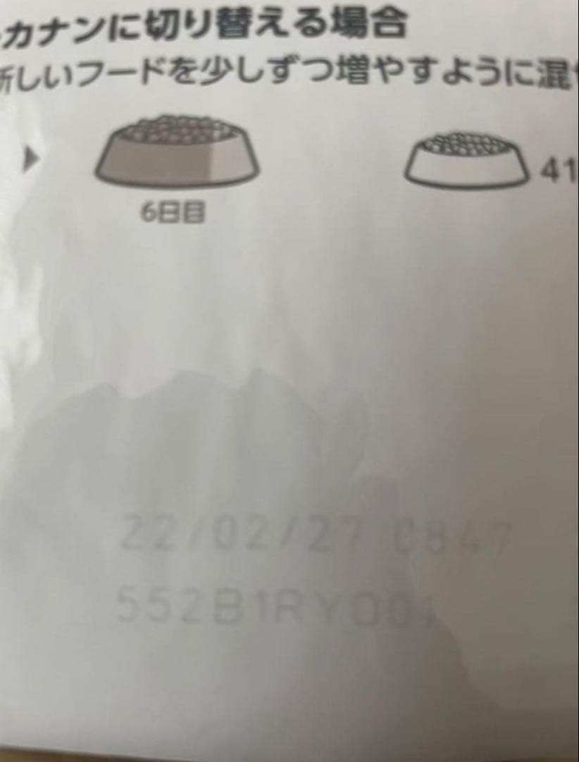  CANIN チワワ成犬 3キロ 4個セット