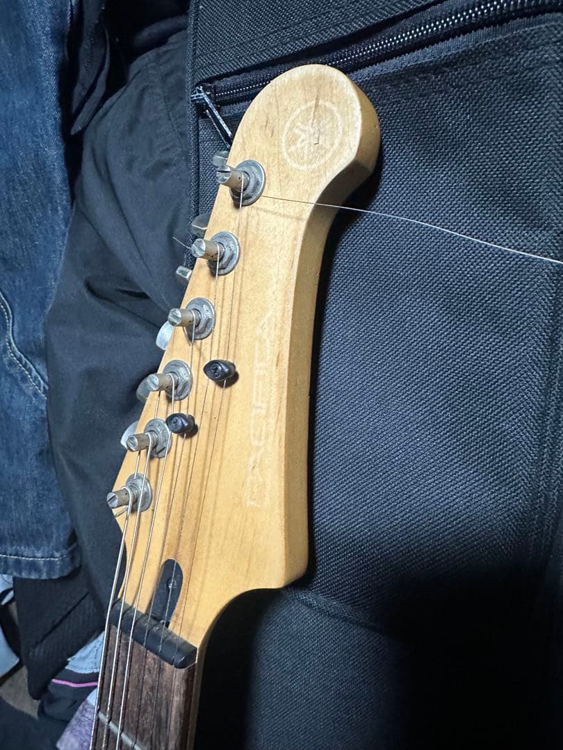 パシフィカ311H VW