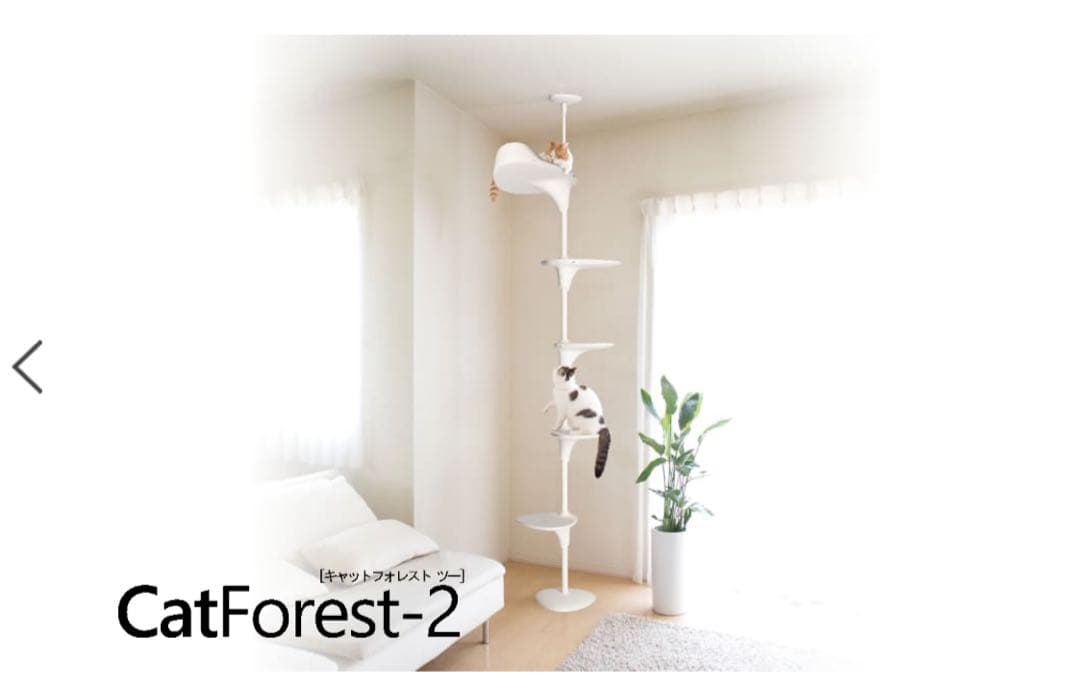 OPPO CatForest-2 キャットフォレスト2 ホワイト