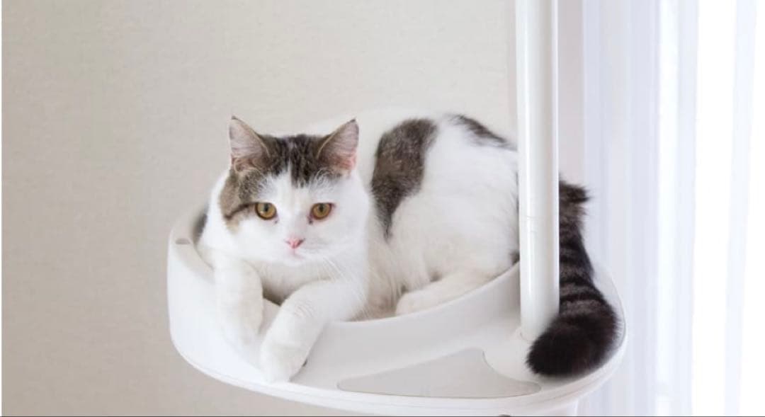 OPPO CatForest-2 キャットフォレスト2 ホワイト