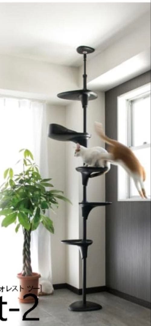 OPPO CatForest-2 キャットフォレスト2 ホワイト