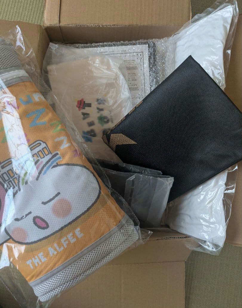 カモアル クッション.コンテナ.らんまるくん.ビートボーイズ.ALFEEバック