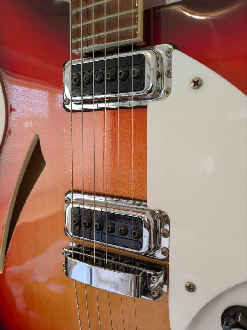 Rickenbacker 360 2013年製 リッケンバッカー