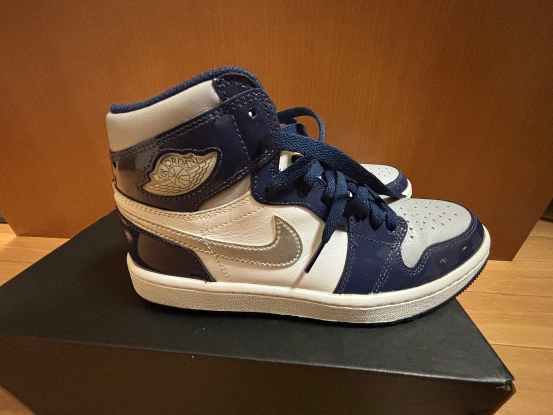 Nike Air Jordan 1 ゴルフシューズ ネイビー　ナイキ