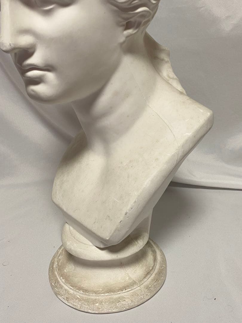 2669❣️ 石膏像 ミロのヴィーナス 胸像 美術　デッサン　オブジェ