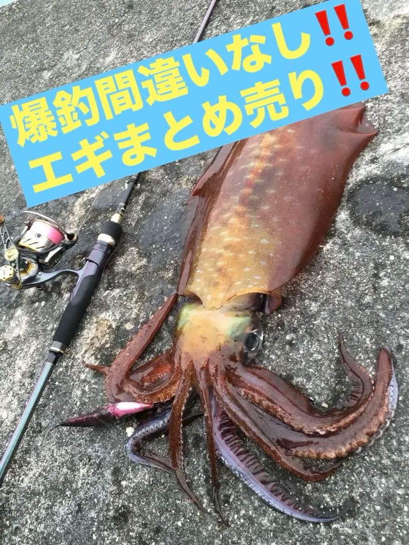 スクイッドマニア カンジ プロスペック エギ番長 餌木 エギ セット エギング