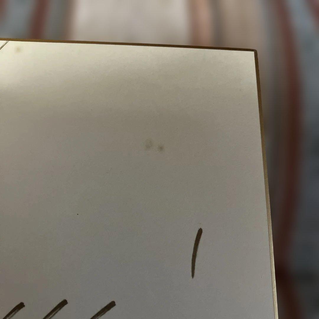 天野喜孝 直筆 サイン色紙 写真付き サイン