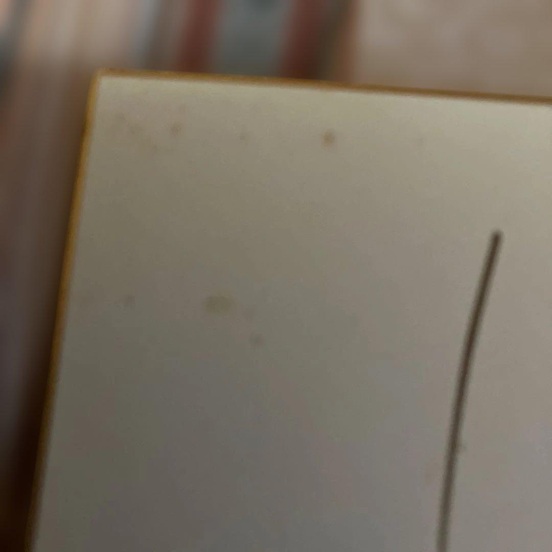 天野喜孝 直筆 サイン色紙 写真付き サイン