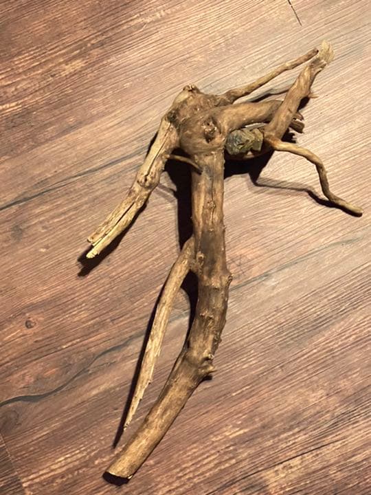 天然物 EVA系 人型 使徒 木製 デザイン インテリア