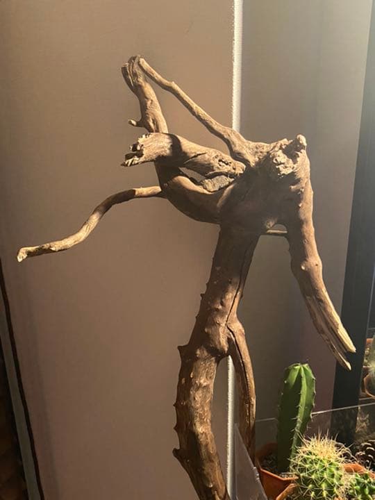 天然物 EVA系 人型 使徒 木製 デザイン インテリア