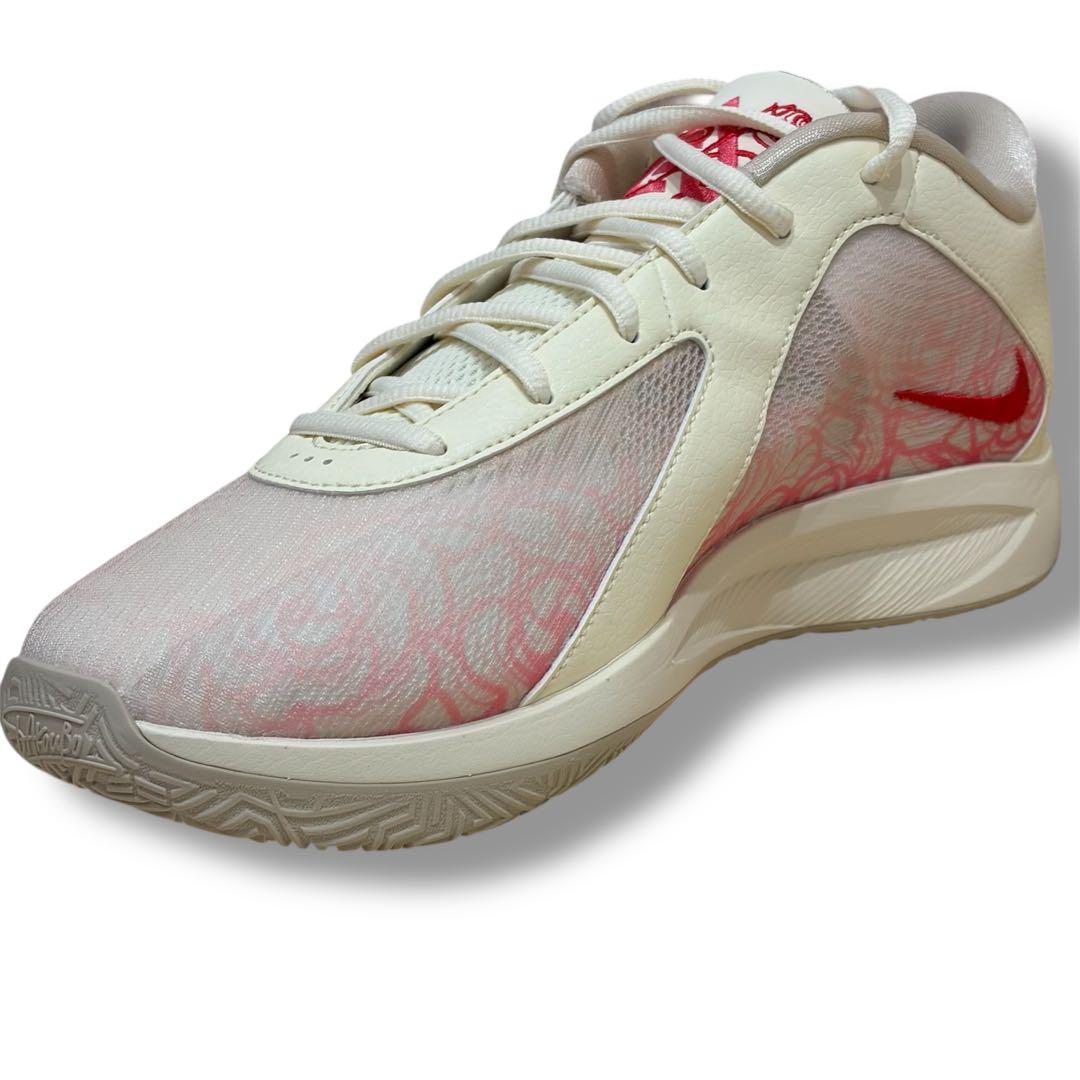 【箱付き】NIKE ナイキ ヤニス フリーク6 \"ローズ\" 27.5cm