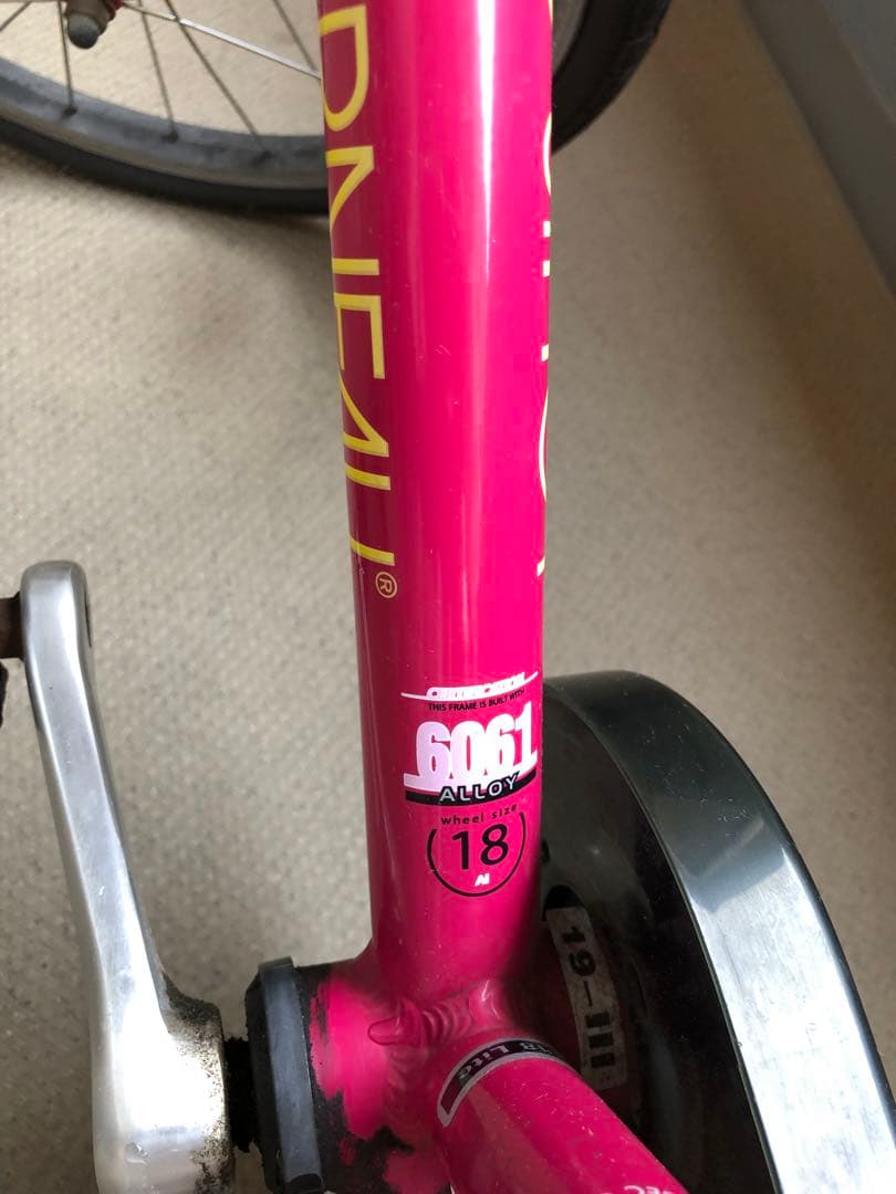 LOUIS GARNEAU ルイガノ18インチ　 どんぐりバスケット付き！