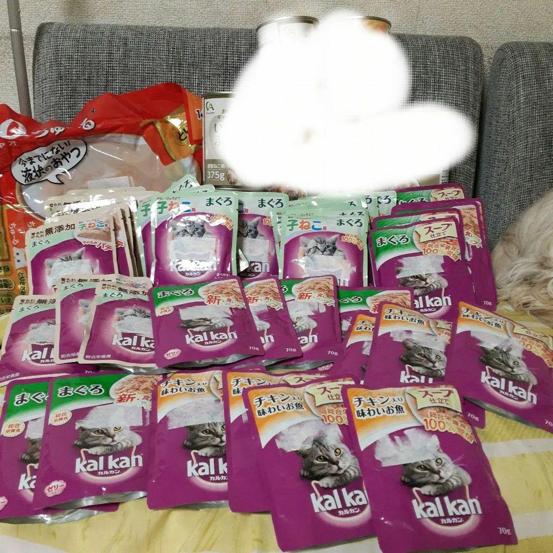 カルカン5種類48袋、チュール40本 、いわしのぶつ切り375g缶詰10缶
