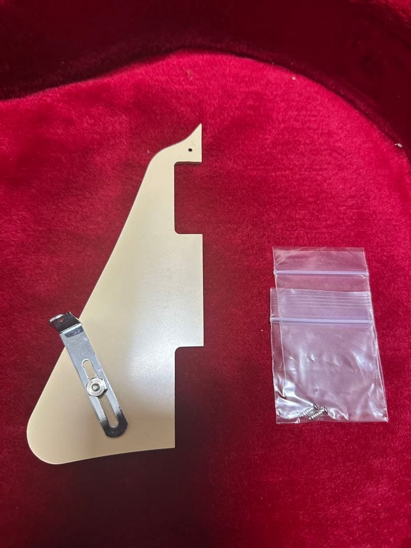 Gibson Les Paul Standard 2019年製