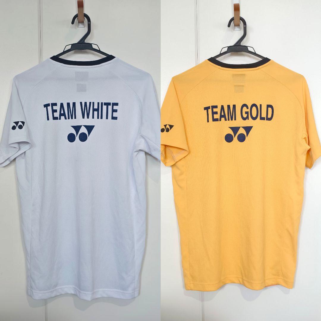 YONEX The LegendsVision限定特注代表選手支給品