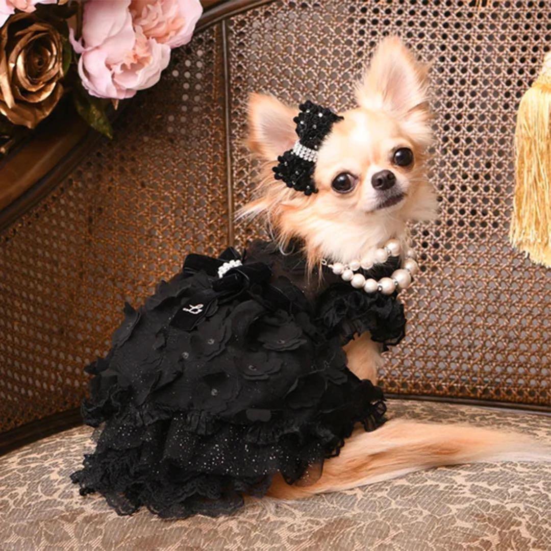 新品 Luxe birdie デビュタントドレス ブラック