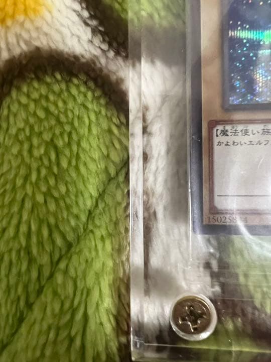 遊戯王　ホーリーエルフ　ブルシク　5つ目　良座標