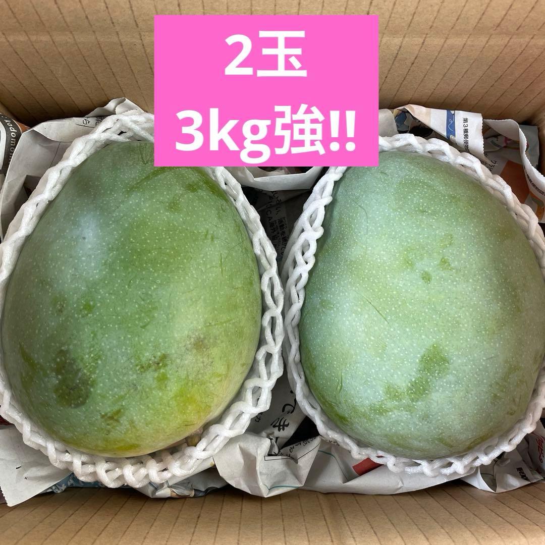 【ラスト1点‼︎】今季終了／キーツマンゴー2玉入り3kg