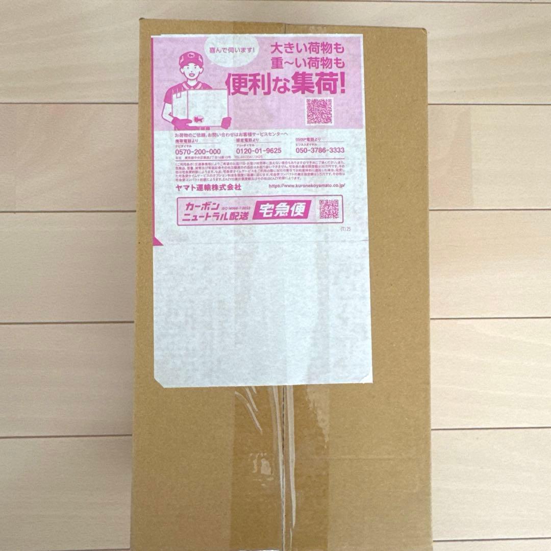 【未開封・シュリンク付】ポケモンセンターヒロシマ　スペシャルbox 即日発送