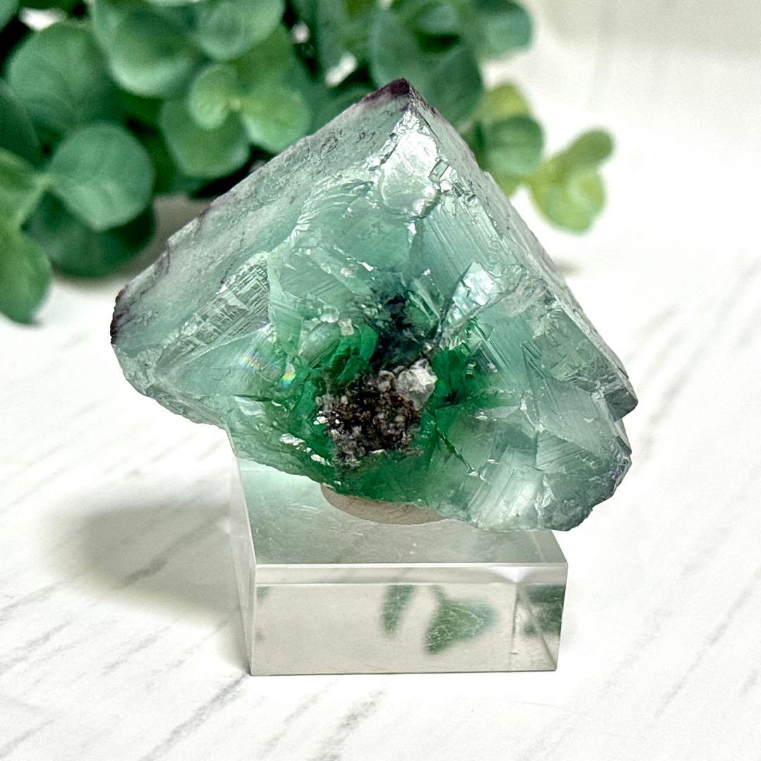 【D288】大きな結晶とゾーニング・.。*・ グリーンフローライト ナミビア