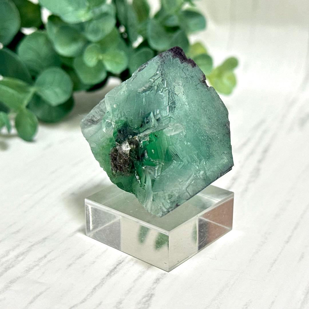 【D288】大きな結晶とゾーニング・.。*・ グリーンフローライト ナミビア