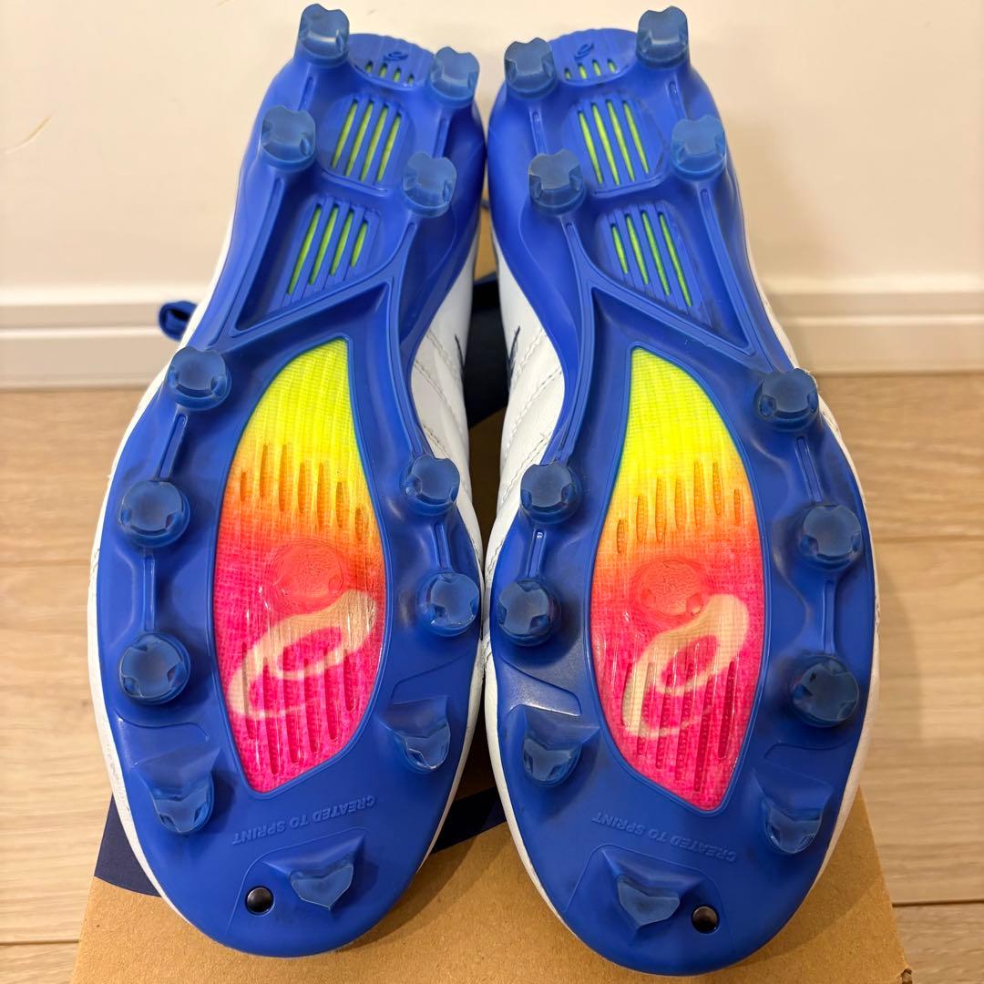 アシックス DS-LIGHT X-FLY PRO3 （25.0㎝）