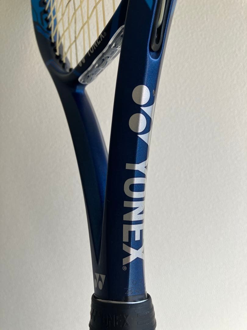 国内正規品　美品　ヨネックス　イーゾーン　100 L G2 キリオス