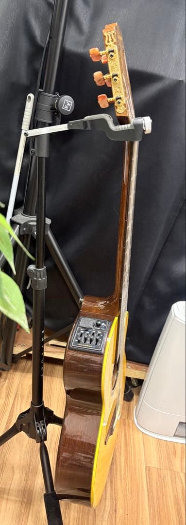 Takamine エレガットギター カッタウェイ希少ケース付き