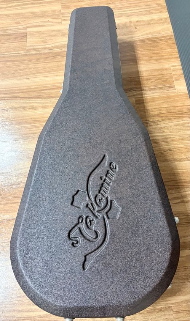 Takamine エレガットギター カッタウェイ希少ケース付き
