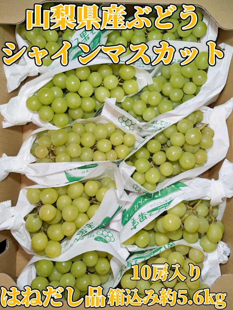 山梨県産ぶどう　シャインマスカット　10房入り　箱込み約5.6kg