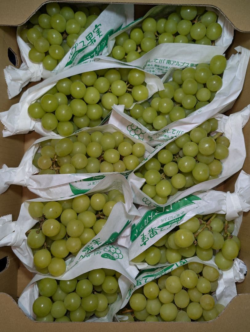 山梨県産ぶどう　シャインマスカット　10房入り　箱込み約5.6kg
