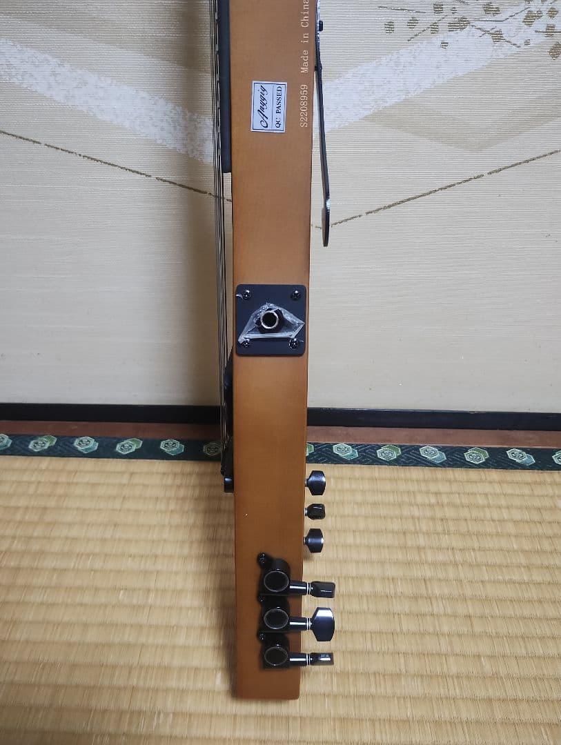 【美品】Anygig エニーギグ トラベルギター エレキギター