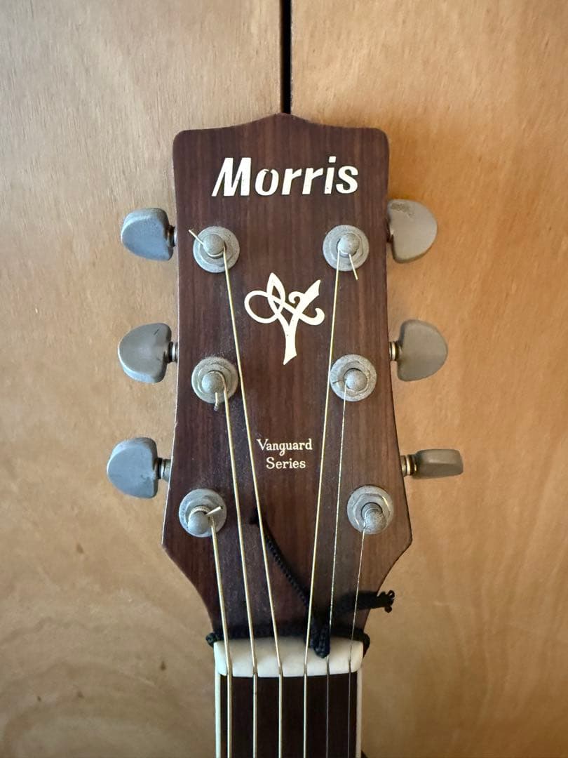 アコギ　Morris MV701 AW モーリス