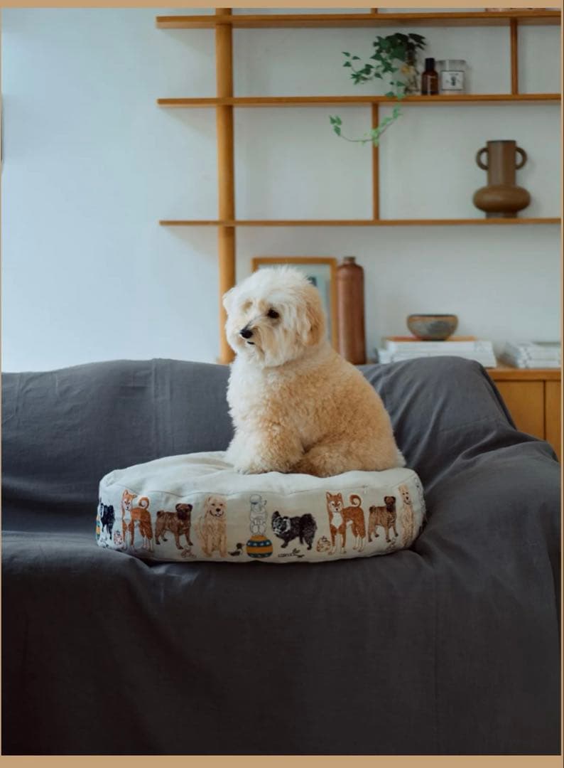 Coral & Tusk × Foinu オーバルイヌベッド