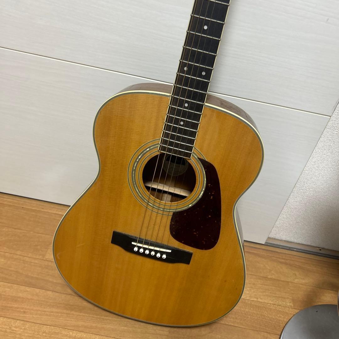 Morris MF-301 アコースティックギター