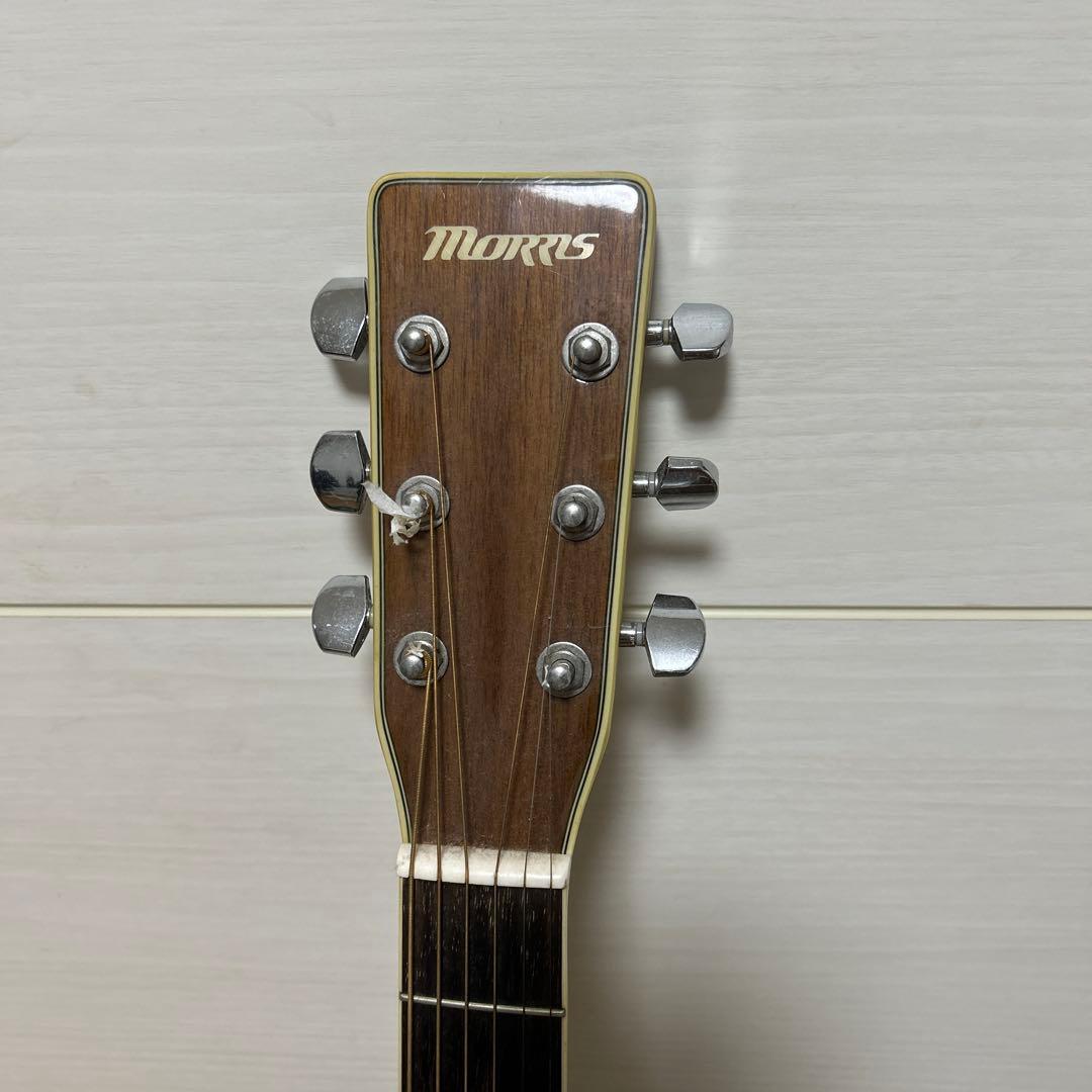 Morris MF-301 アコースティックギター