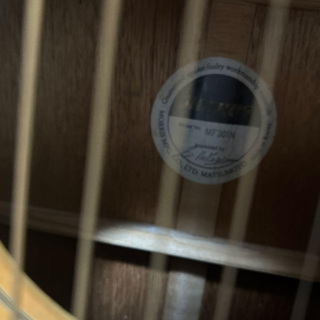 Morris MF-301 アコースティックギター