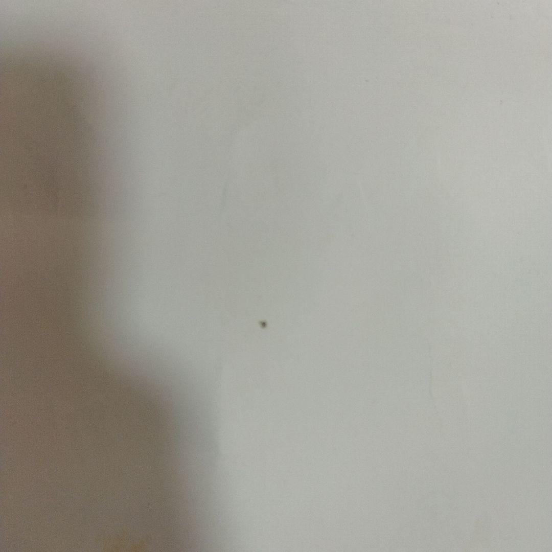 資生堂 　セリア・キャロン　特大ポスター この夏　その気