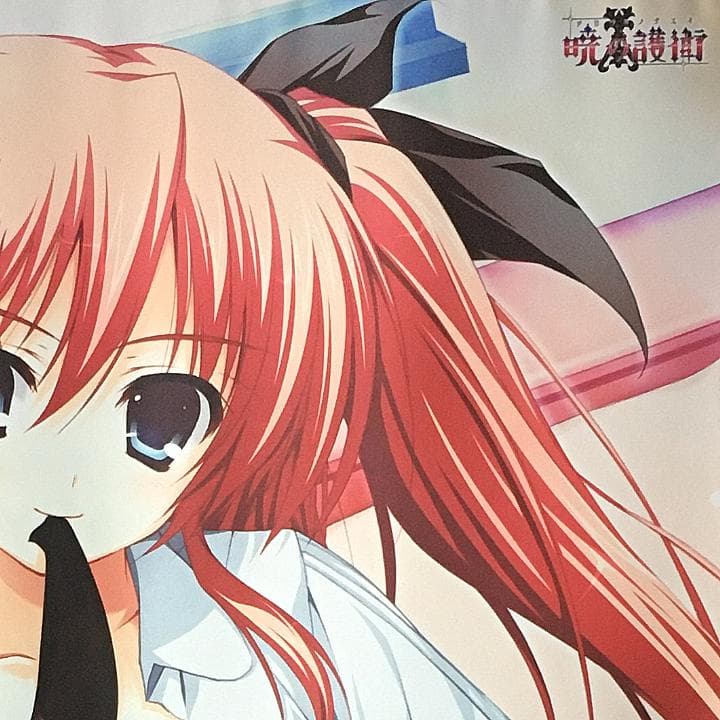 暁の護衛 二階堂麗華 タペストリー 9本セット 【稀少品】