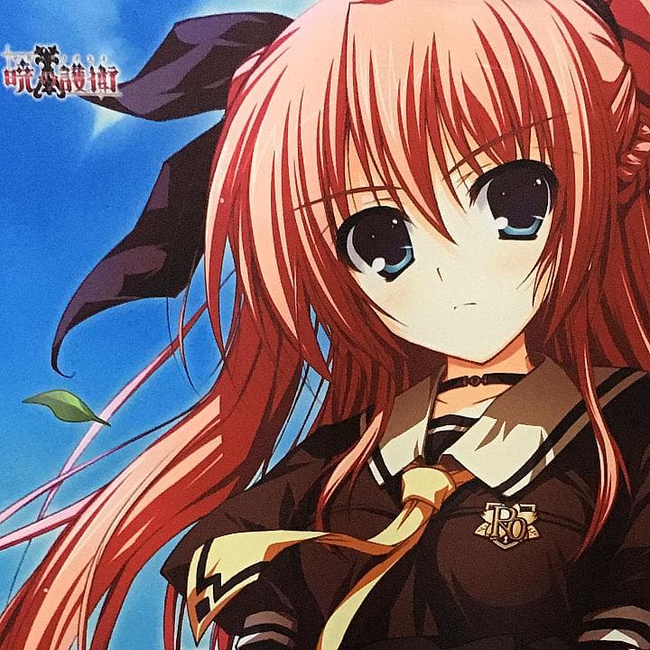 暁の護衛 二階堂麗華 タペストリー 9本セット 【稀少品】