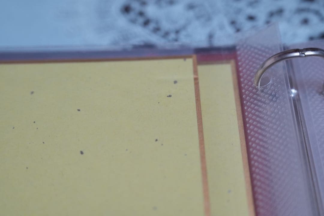 Thankyou PASTA2 プレミアムチケット 各演者直筆サイン