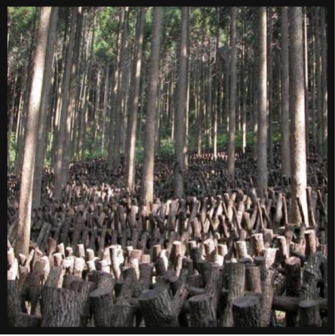 【産地直送】 乾燥椎茸　1kg 業務用　しいたけ　岩手県産　東北の味　オススメ