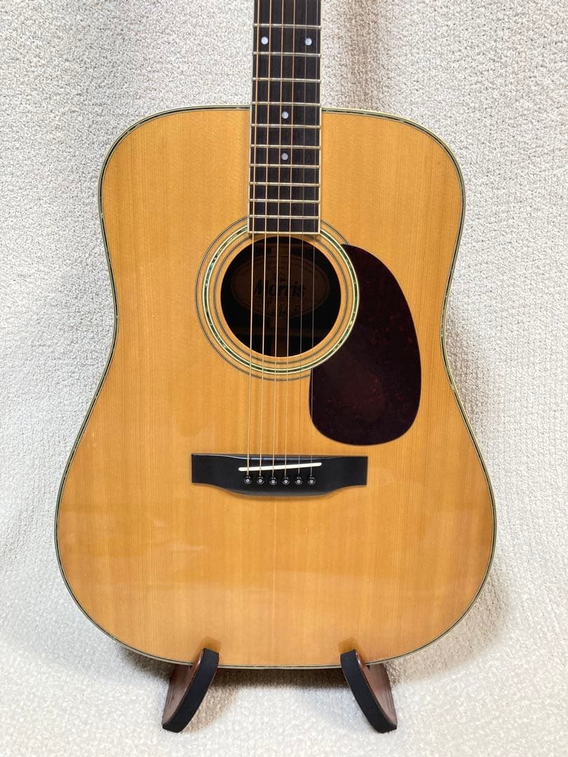 Morris アコースティックギター　W30