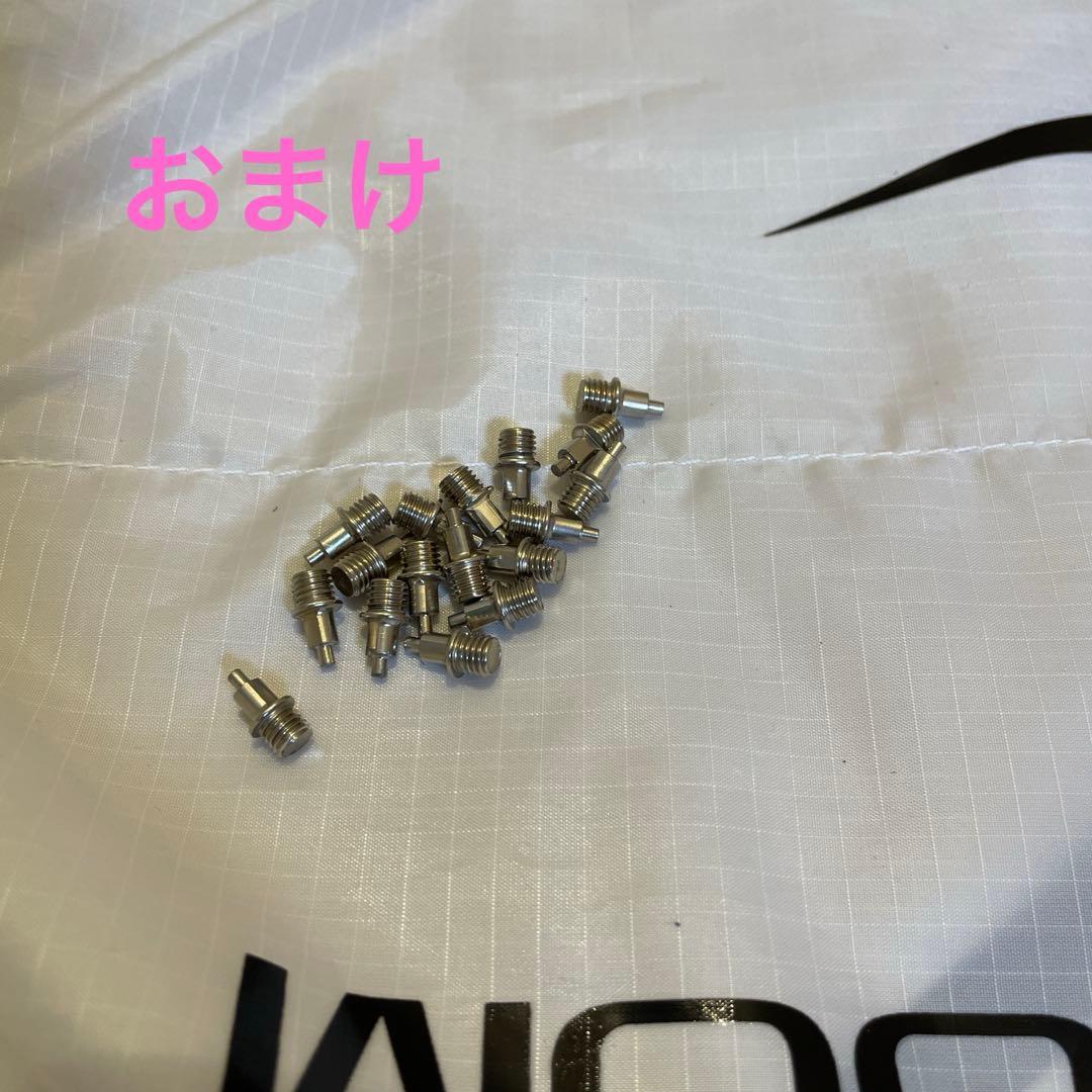 Nike Air Zoom Victory ２４.５