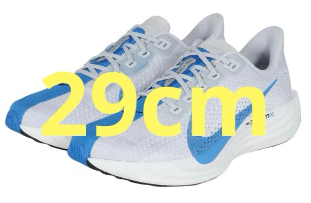 【最終値下済】NIKE ナイキ ペガサスプラス 29cm